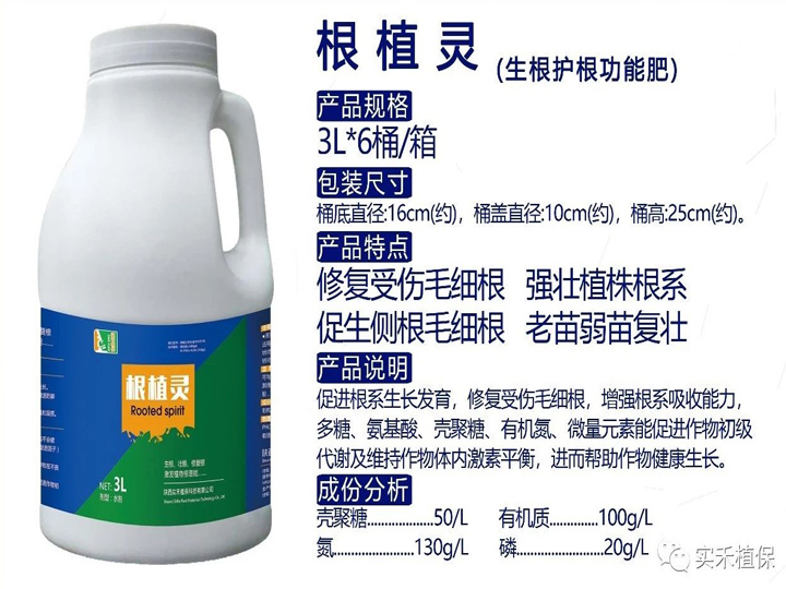 根植靈(生根護(hù)根功能肥) (3L*6桶/箱)