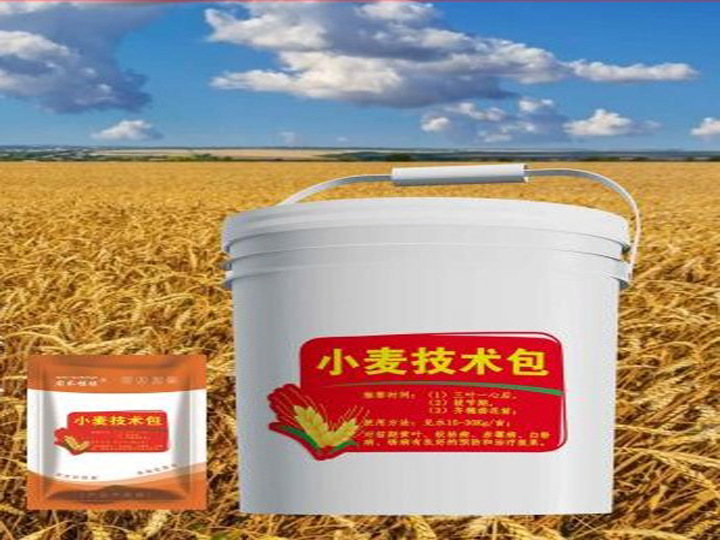 小麥技術(shù)包 (20kg)